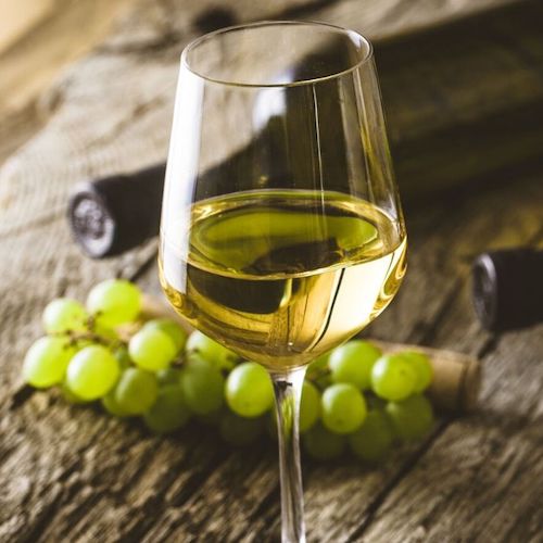 vino bianco