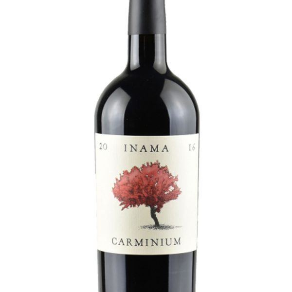 INAMA CARMINIUM CARMENERE COLLI BERICI DOC 2020
