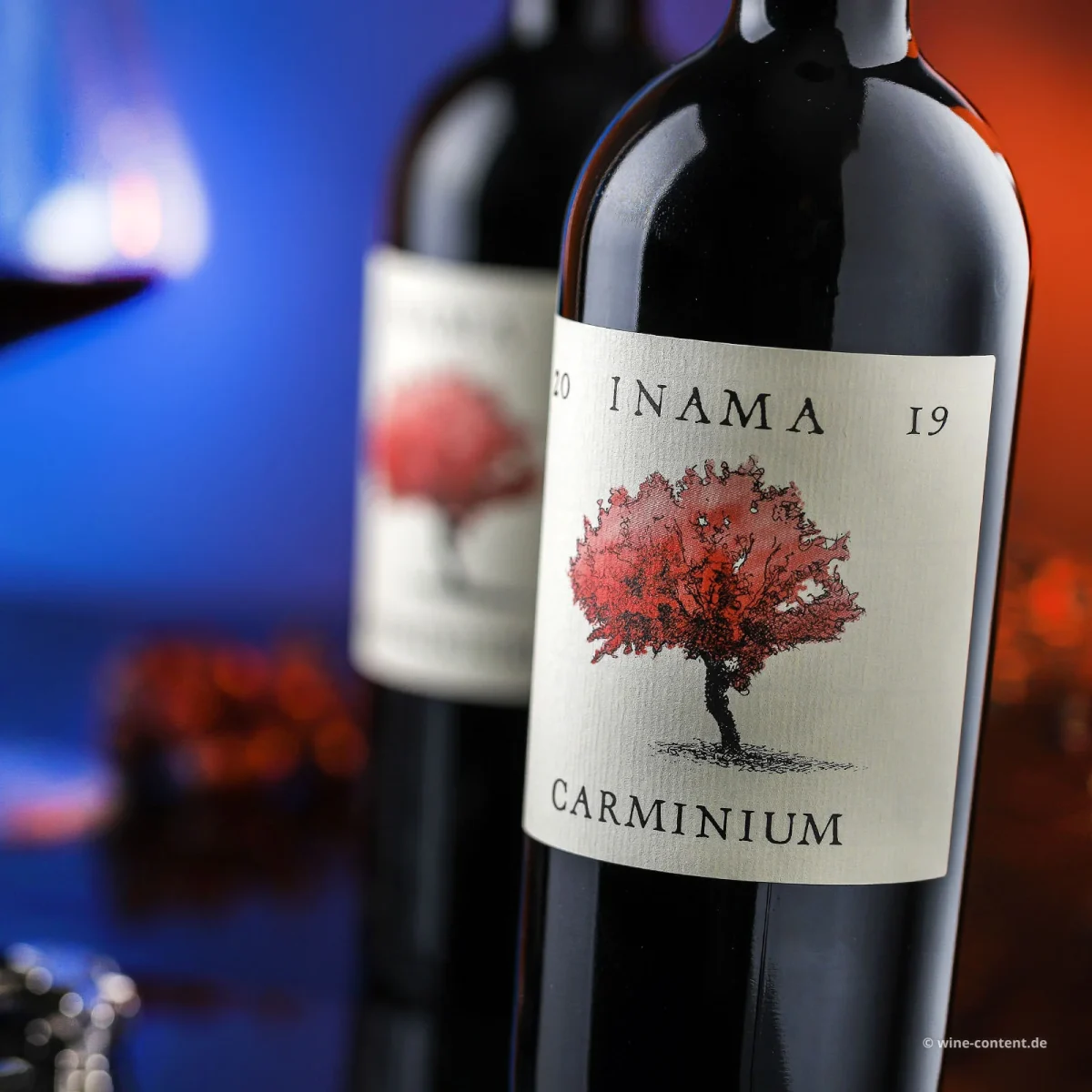 INAMA CARMINIUM CARMENERE COLLI BERICI DOC 2020 - immagine 3
