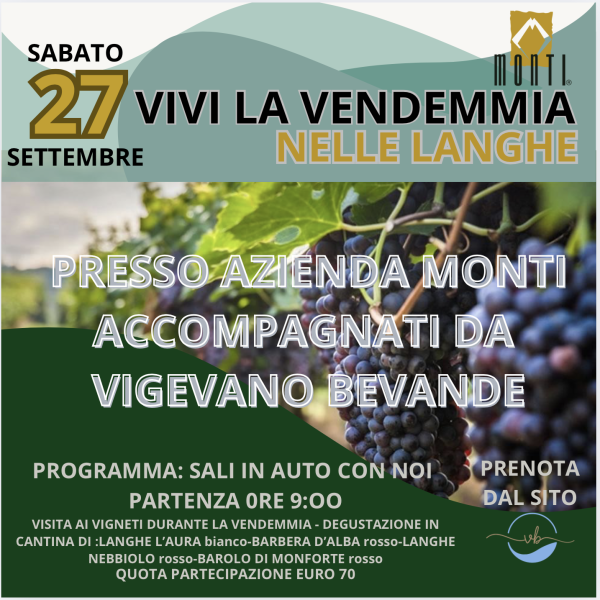 Vivi la vendemmia nelle langhe degustazione e visita cantina Monti-