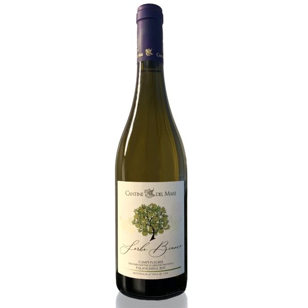 CANTINE DEL MARE " SORBO BIANCO" FALANGHINA DOP